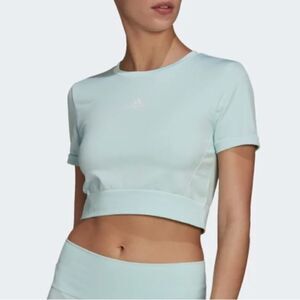 Adidas Aero Knit Seamless Fitted Crop Tee in Ice Mint Large